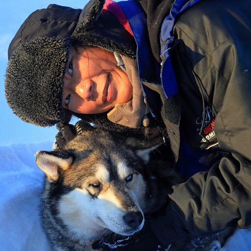 Husky Winter Traum in Lappland 
