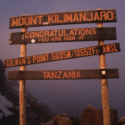 Kilimanjaro + Safari
